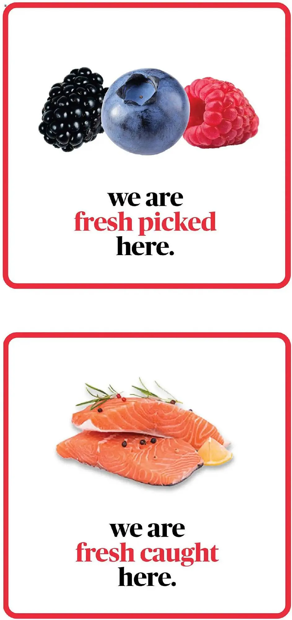 Weekly ad ShopRite Weekly Ad from July 3 to July 13 2025 - Page 3