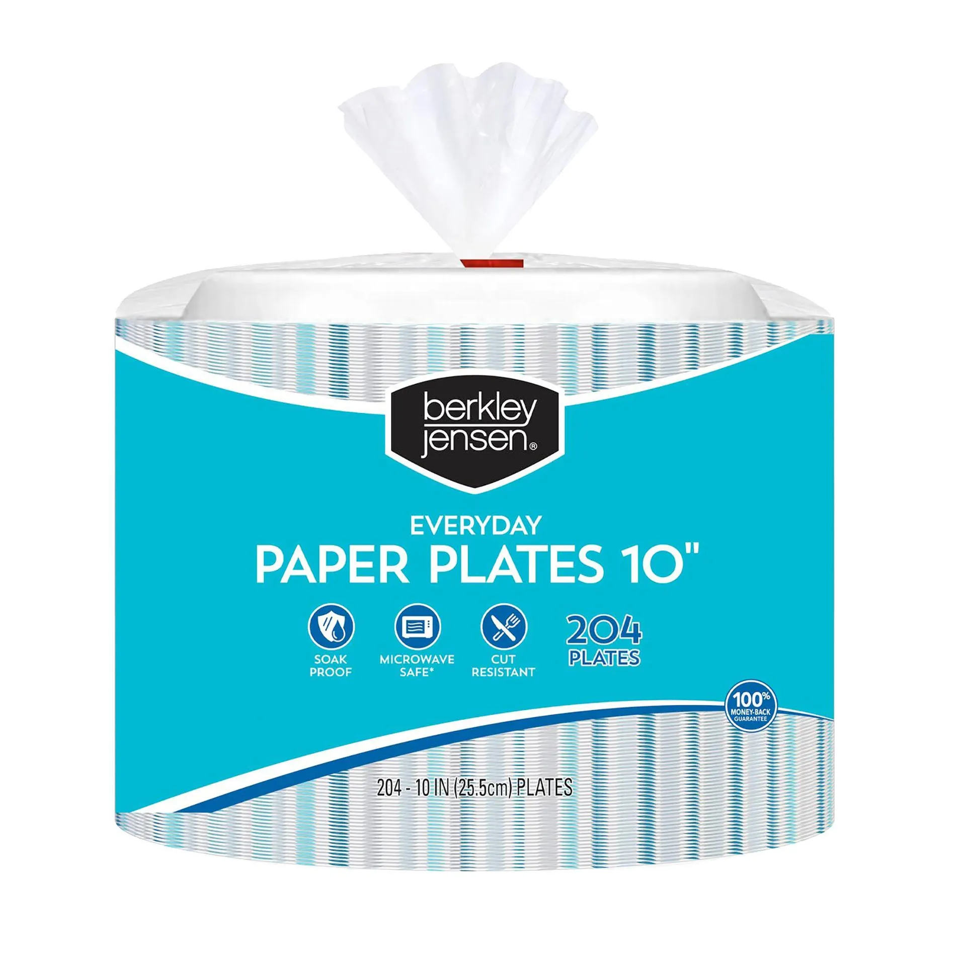 Berkley Jensen Everyday 10" Paper Plates - Abstract, 204 ct.