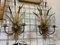 Wall Lights from Maison Charles, 1970s, Set of 2