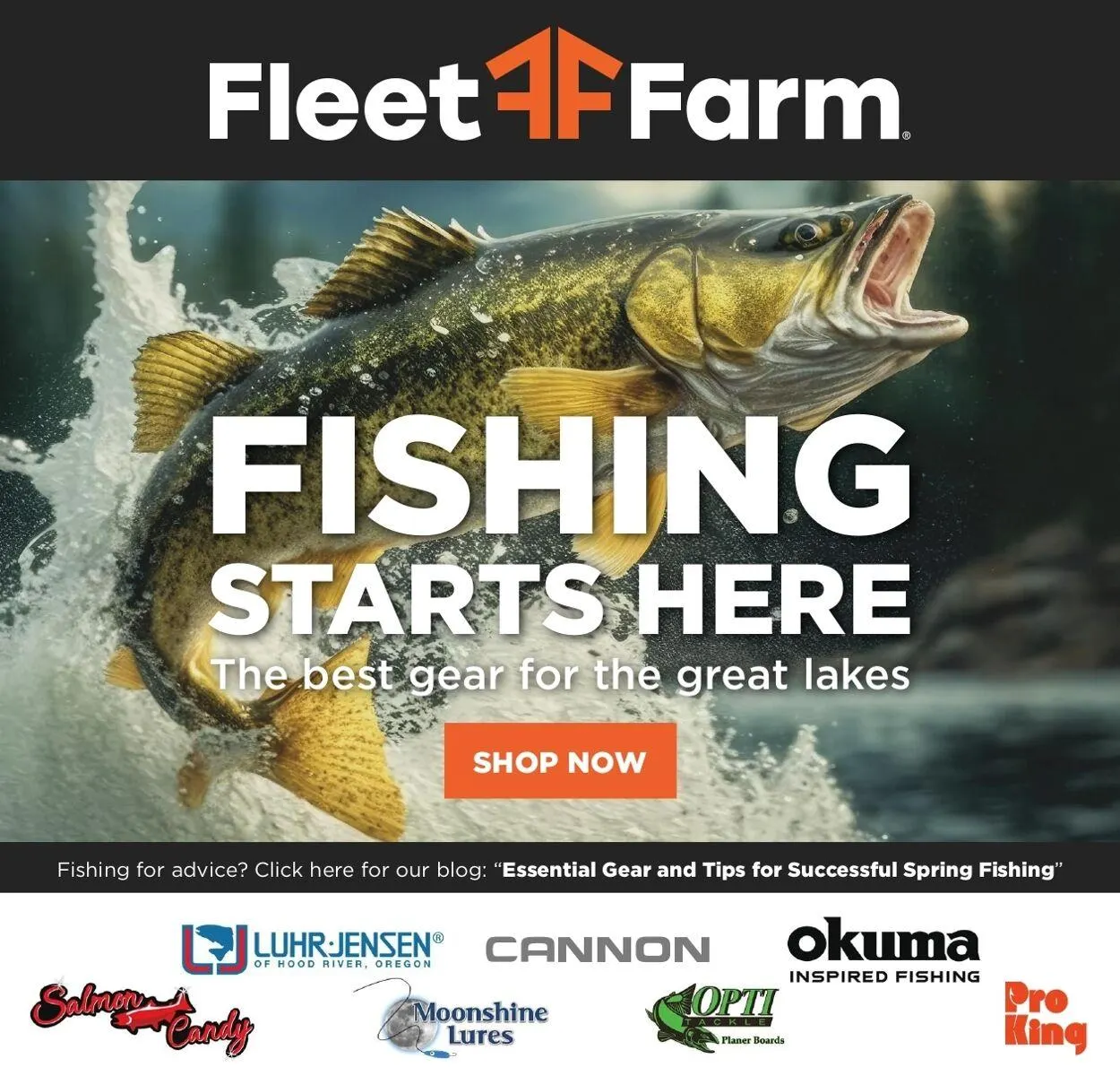 Weekly ad Mills Fleet Farm from June 5 to June 11 2025 - Page 5