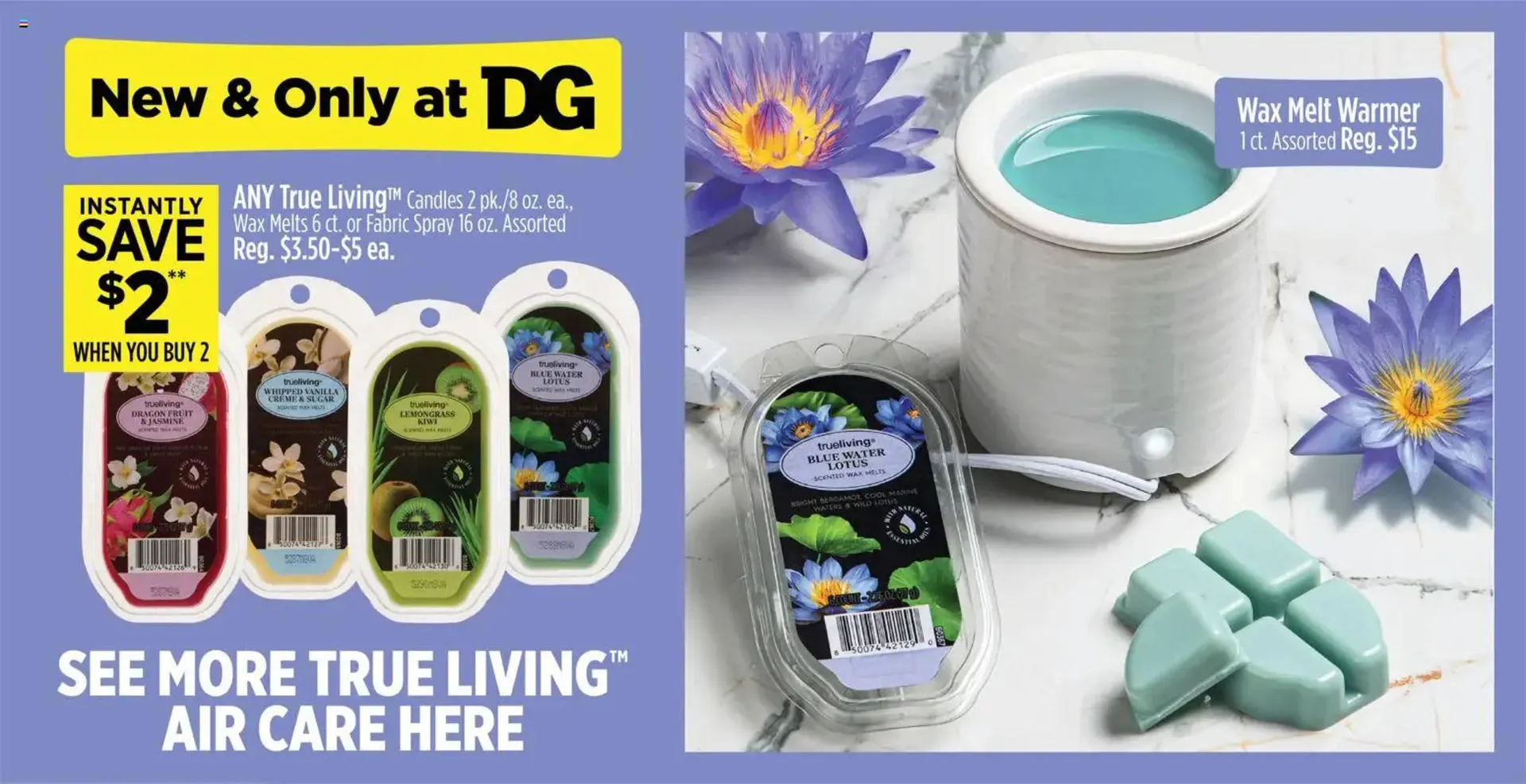 Weekly ad Dollar General weekly ad from March 8 to March 14 2026 - Page 10