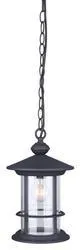 Canarm Inc. Treehouse Black Outdoor Pendant Light