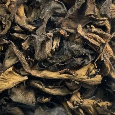 Black Trumpet Mushrooms (Packaged)