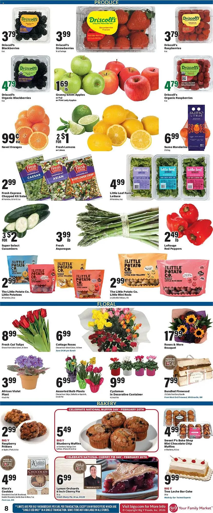 Weekly ad Big Y flyer from February 19 to February 26 2026 - Page 11