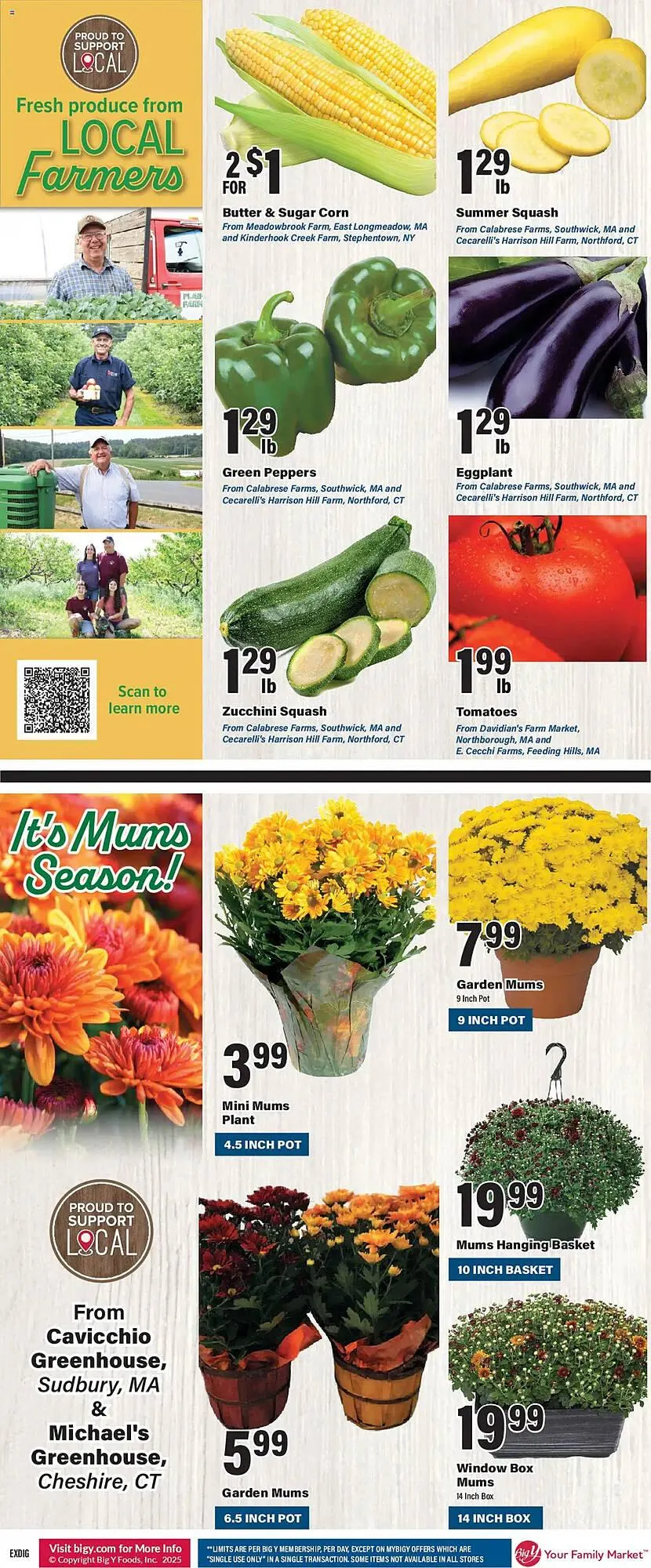 Weekly ad Big Y Weekly Ad from August 21 to August 28 2025 - Page 2