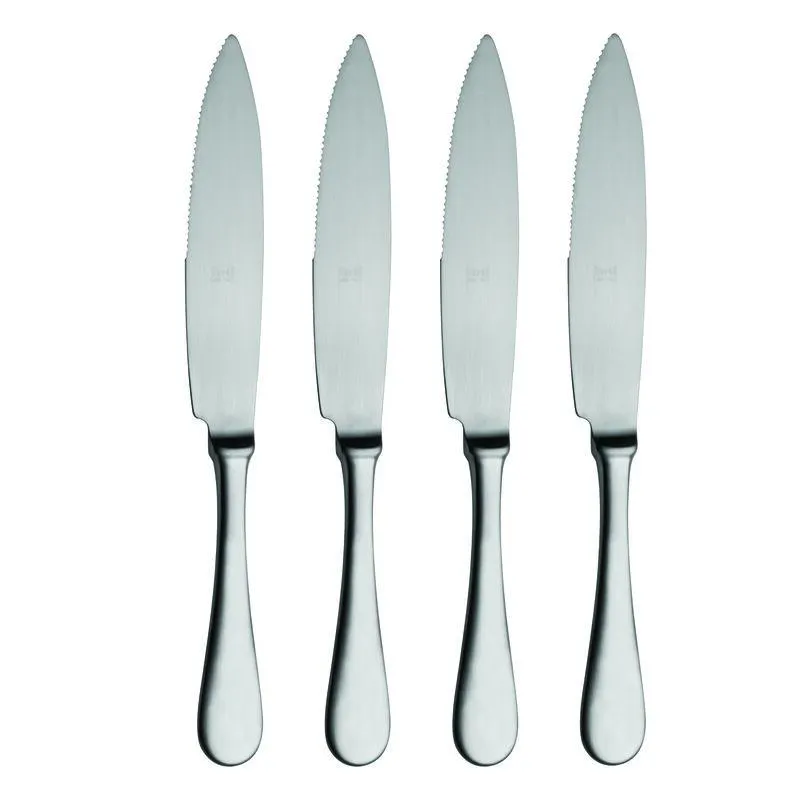 4-Piece Steak Knife Set in Ice