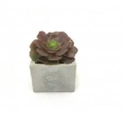 Square Concrete "GARDEN" Planter