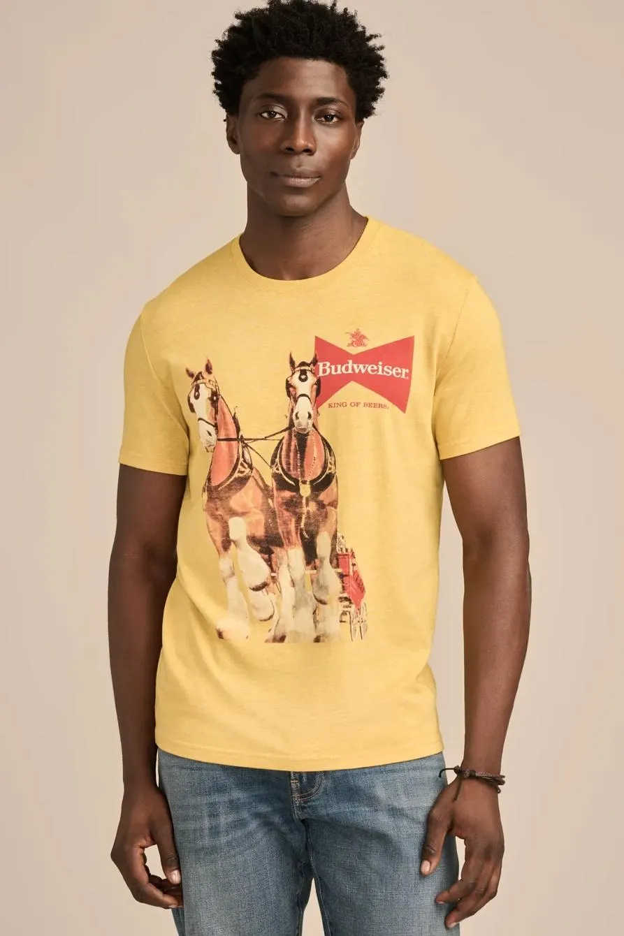 budwiser horses