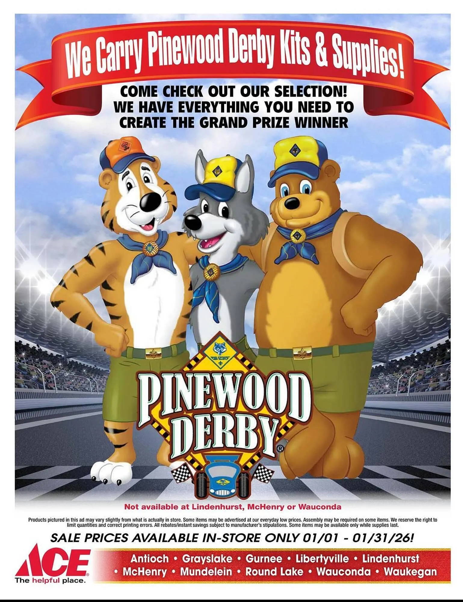 Weekly ad Ace Hardware flyer from January 1 to January 31 2026 - Page 20