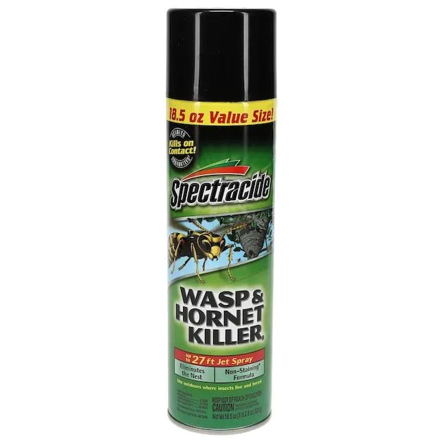 Spectracide Wasp and Hornet 18.5 -oz Aerosol Insect killer