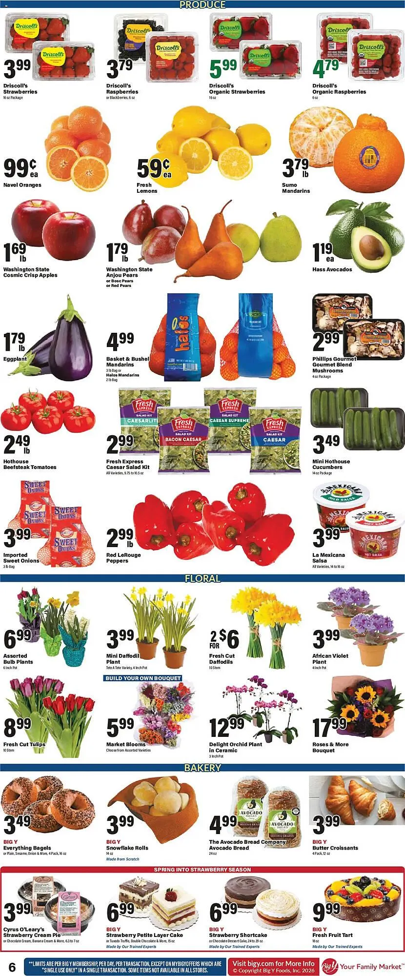 Weekly ad Big Y flyer from March 19 to March 25 2026 - Page 8