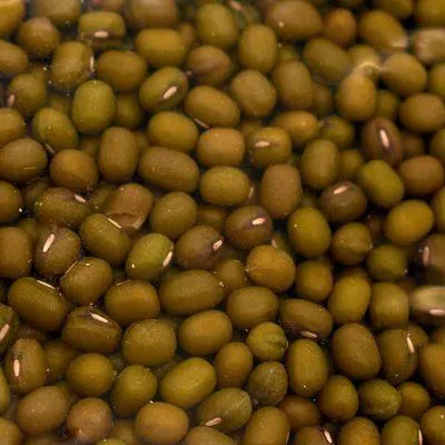 Organic Mung Beans (Packaged)