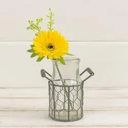Gray Zinc Holder with Glass Bottle Vase (1 set)