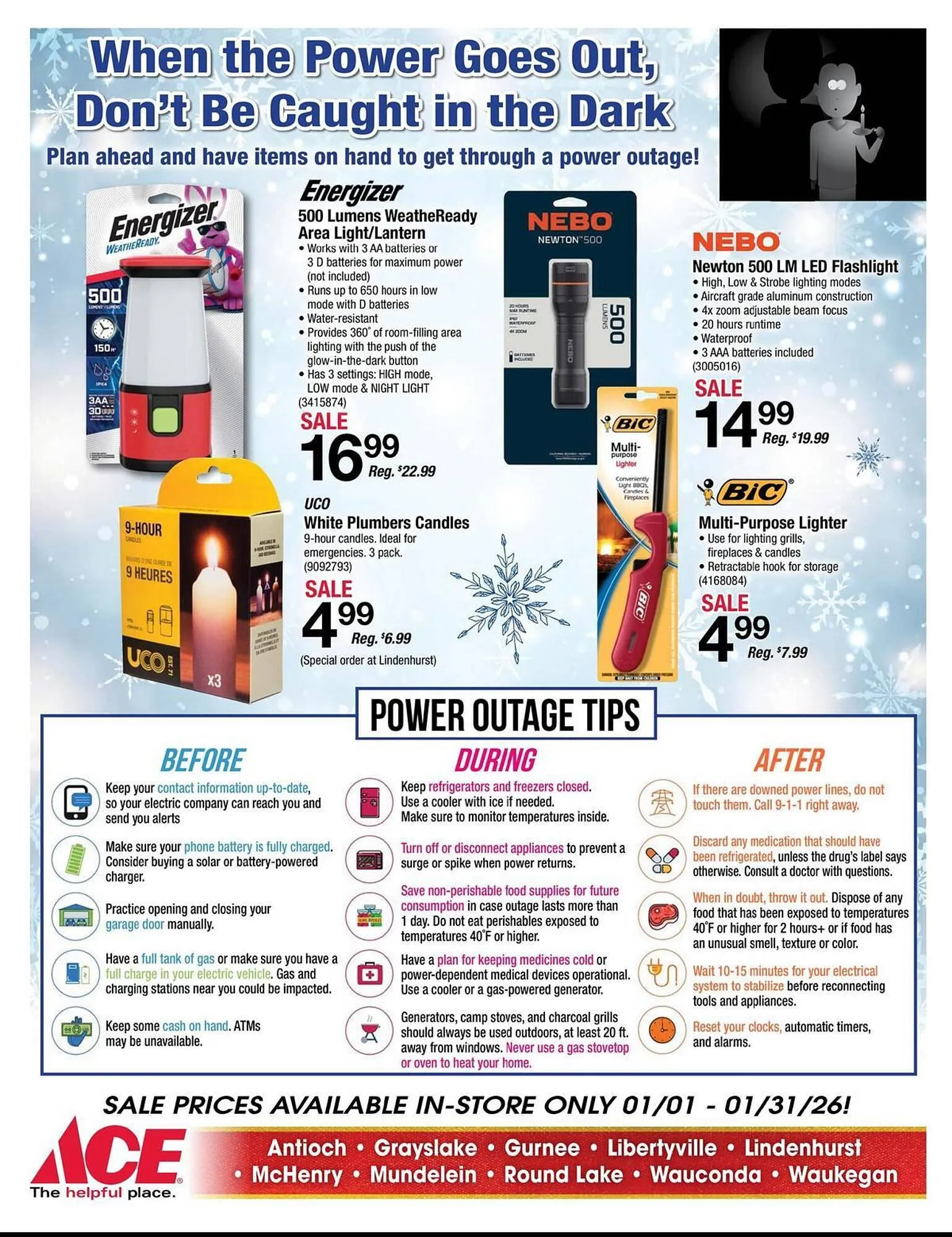 Weekly ad Ace Hardware flyer from January 1 to January 31 2026 - Page 16