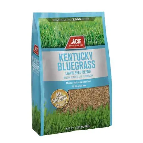 Ace Kentucky Bluegrass Full Sun Grass Seed 3 lb
