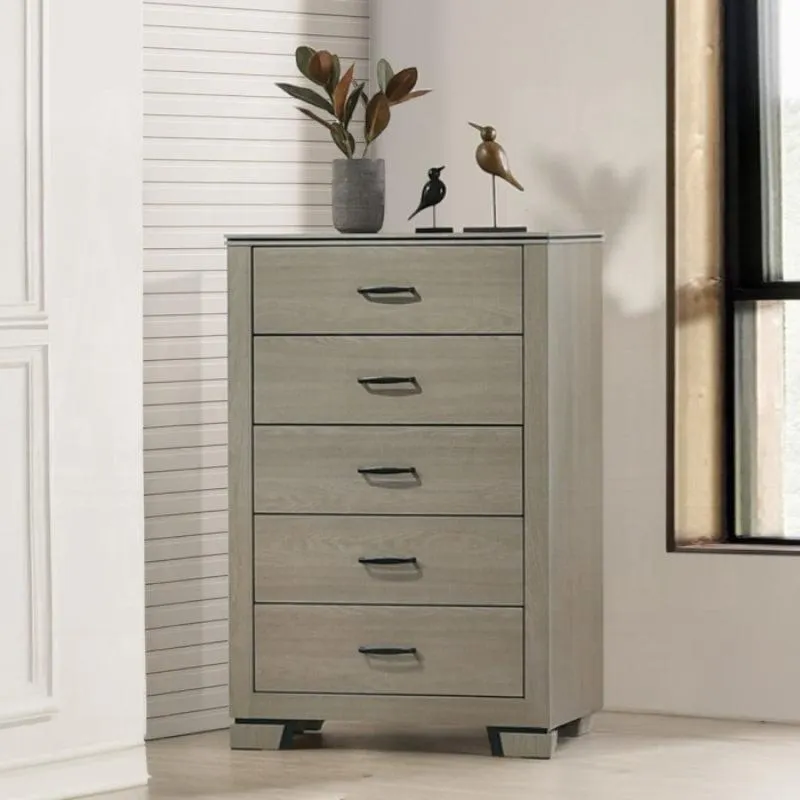 47" Joanna Chest by Acme Furniture - Gray