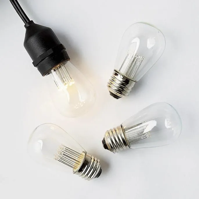 Edison Replacement Bulb