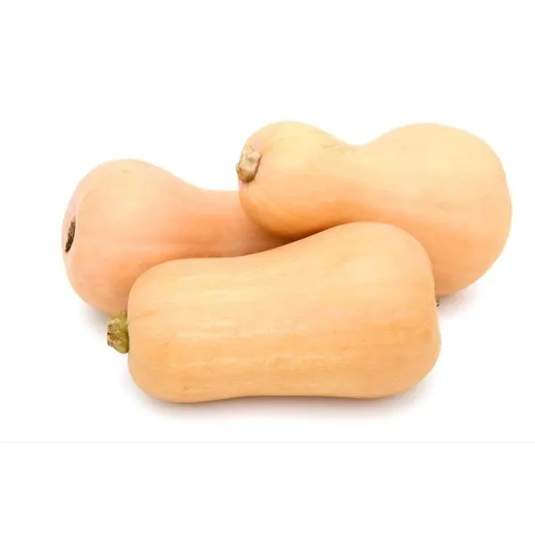 Butternut Squash