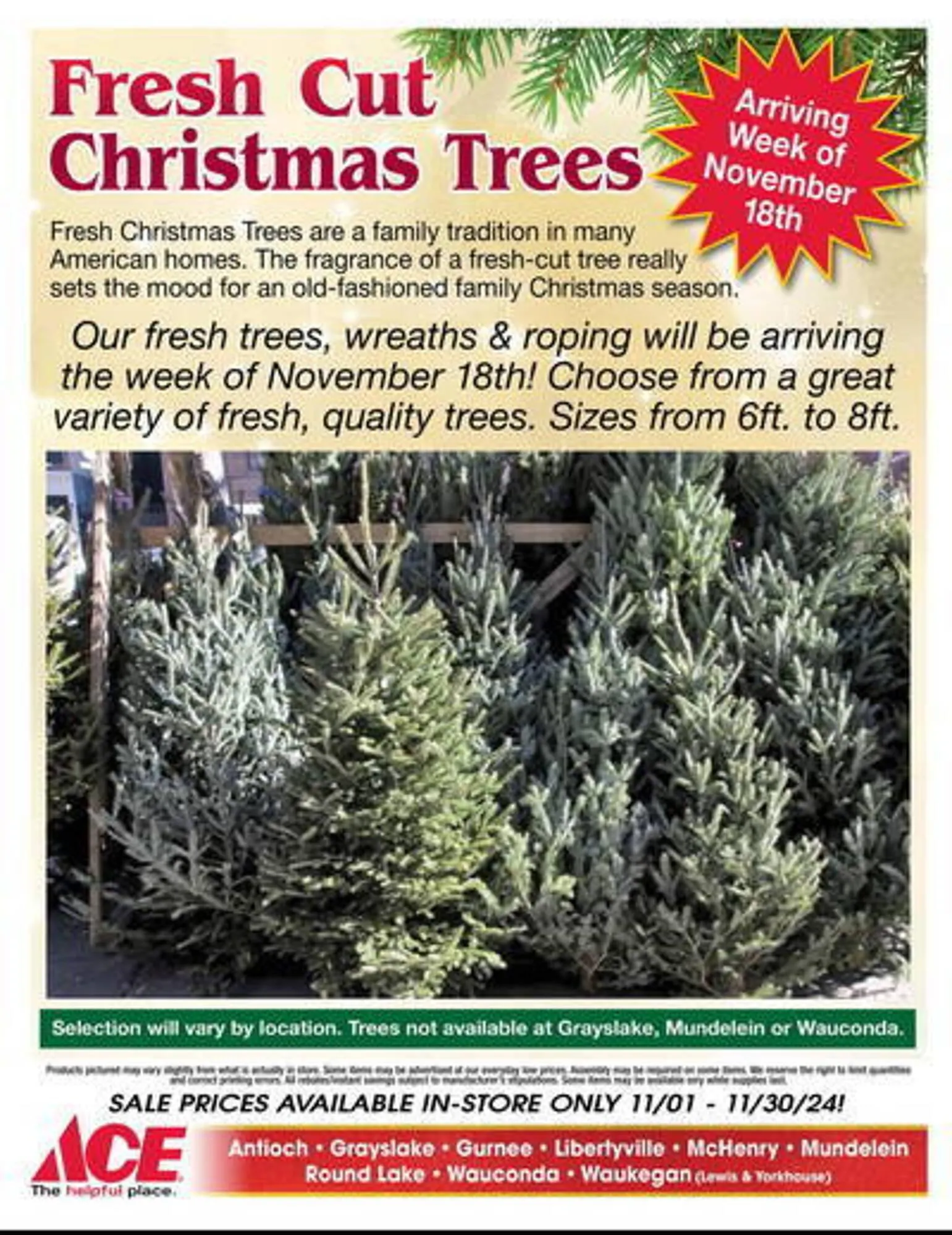 Weekly ad Ace Hardware Weekly Ad from November 1 to November 30 2024 - Page 18