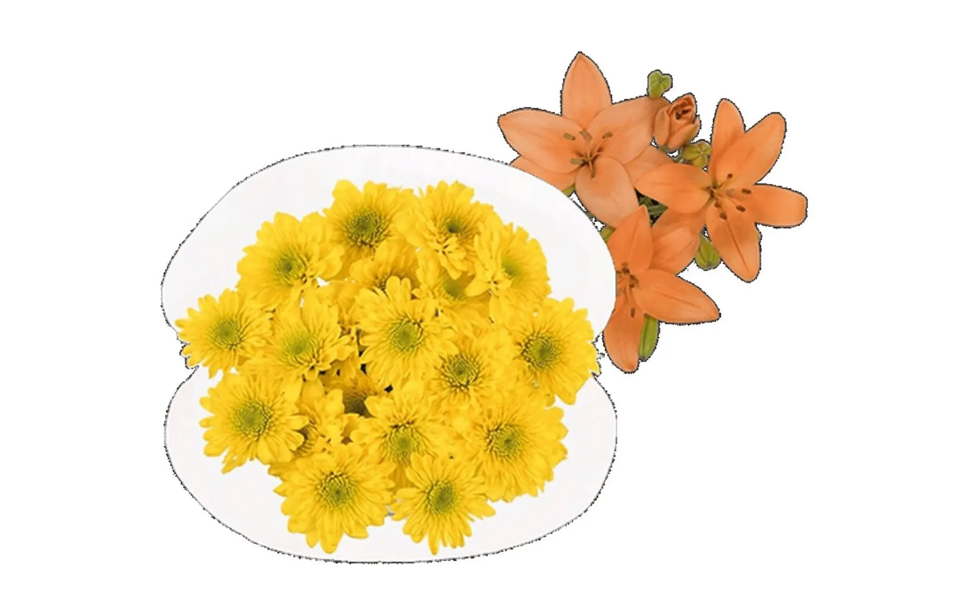 Weekly ad Northgate Market weekly ad from January 29 to February 10 2026 - Page 44