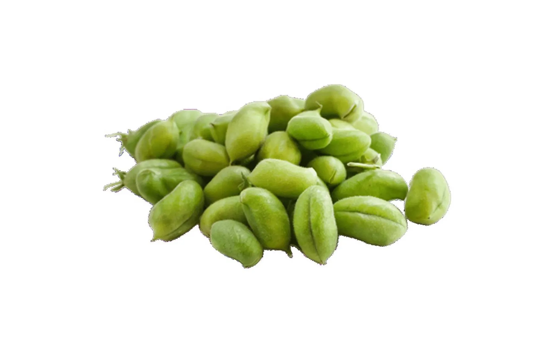 Weekly ad Northgate Market weekly ad from February 18 to March 3 2026 - Page 49