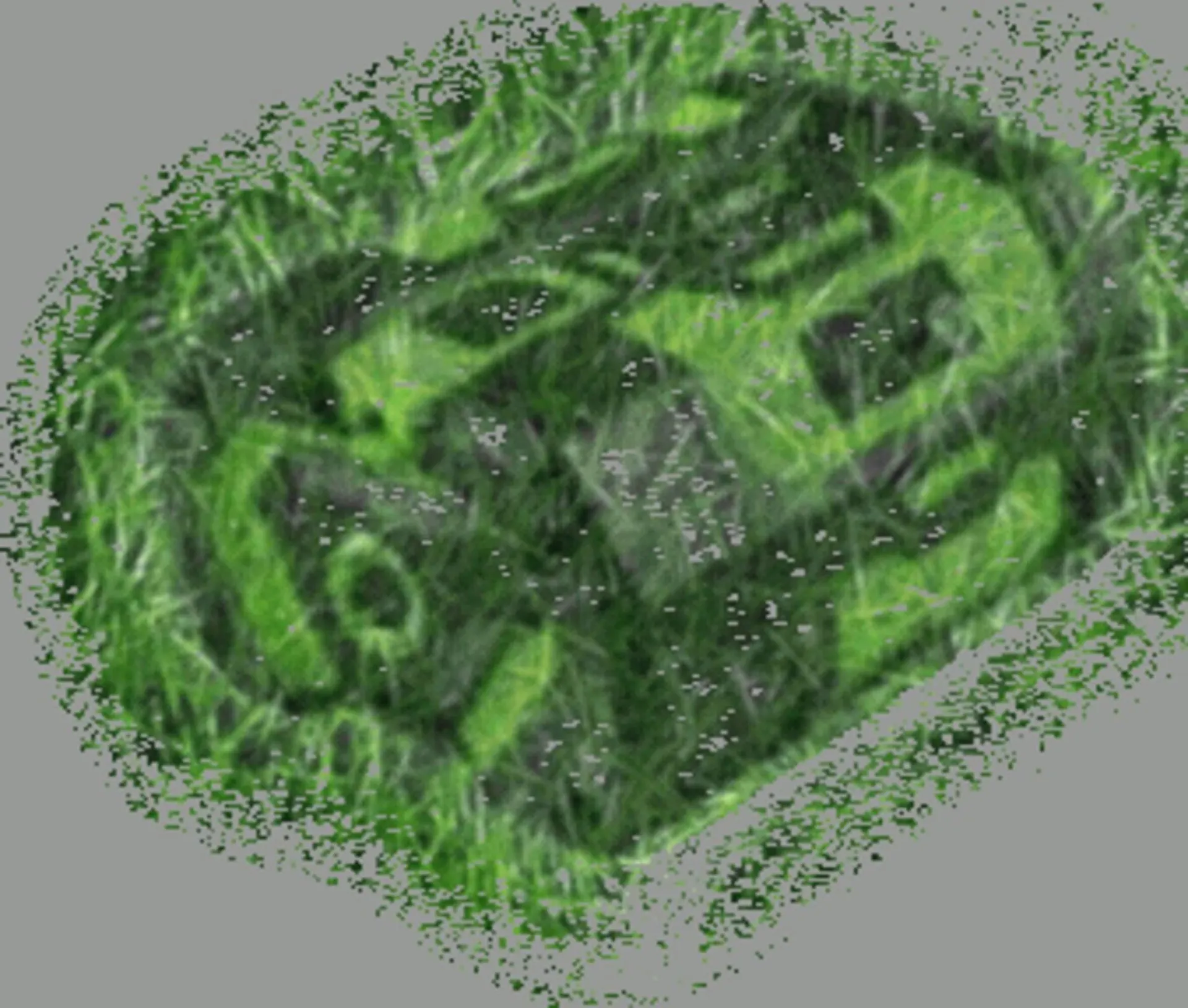 Weekly ad Ace Hardware flyer from April 16 to April 29 2026 - Page 108