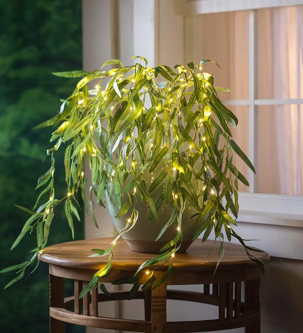 Indoor/Outdoor Lighted Green Willow Tree Branches, Set of 2
