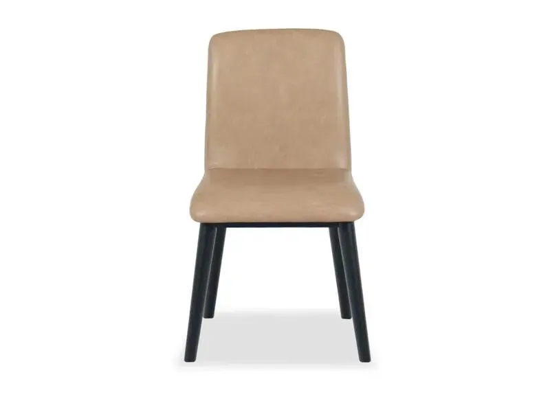 Vida Vegan Leather Side Chair