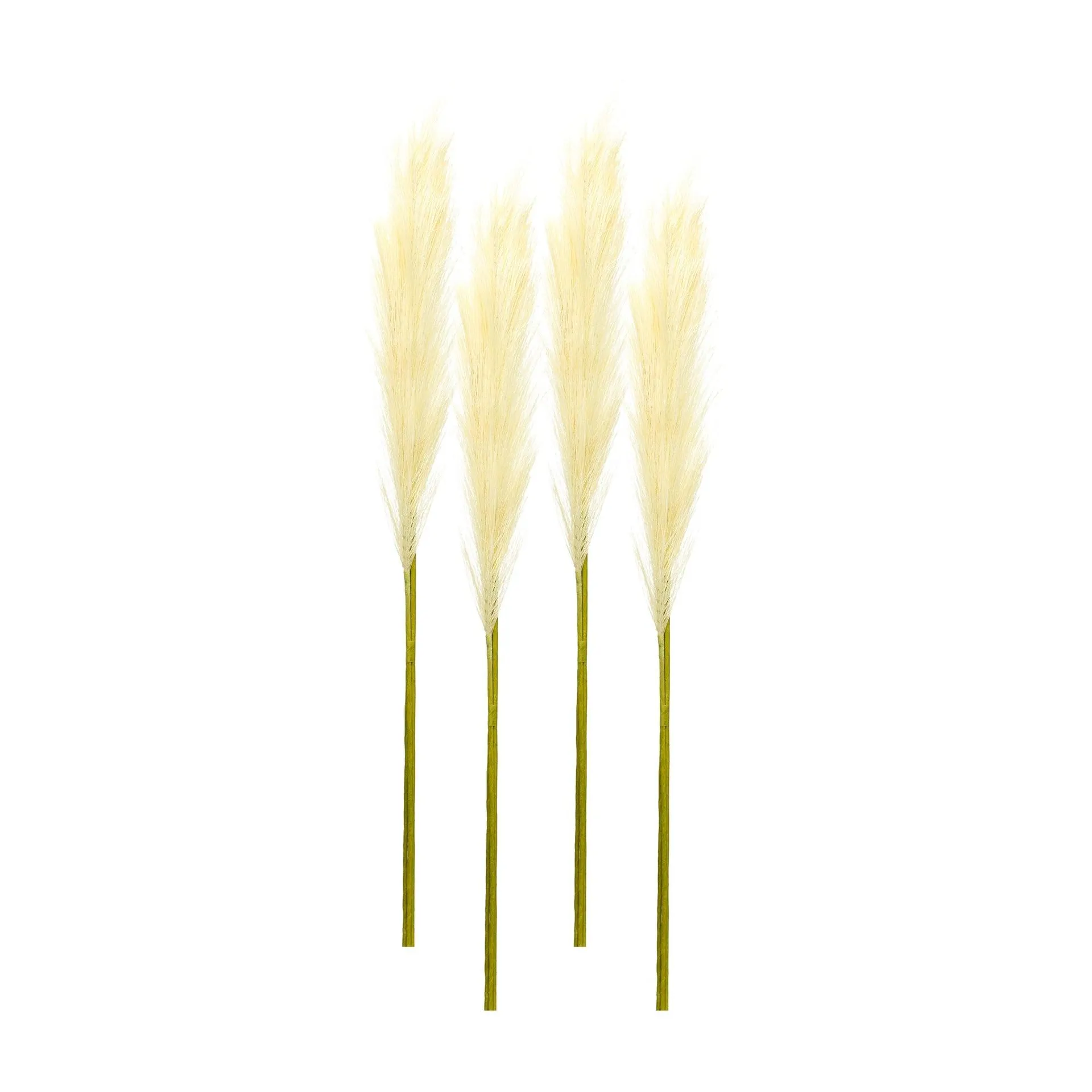 Cream Pampas Grass Stem, Set of 4