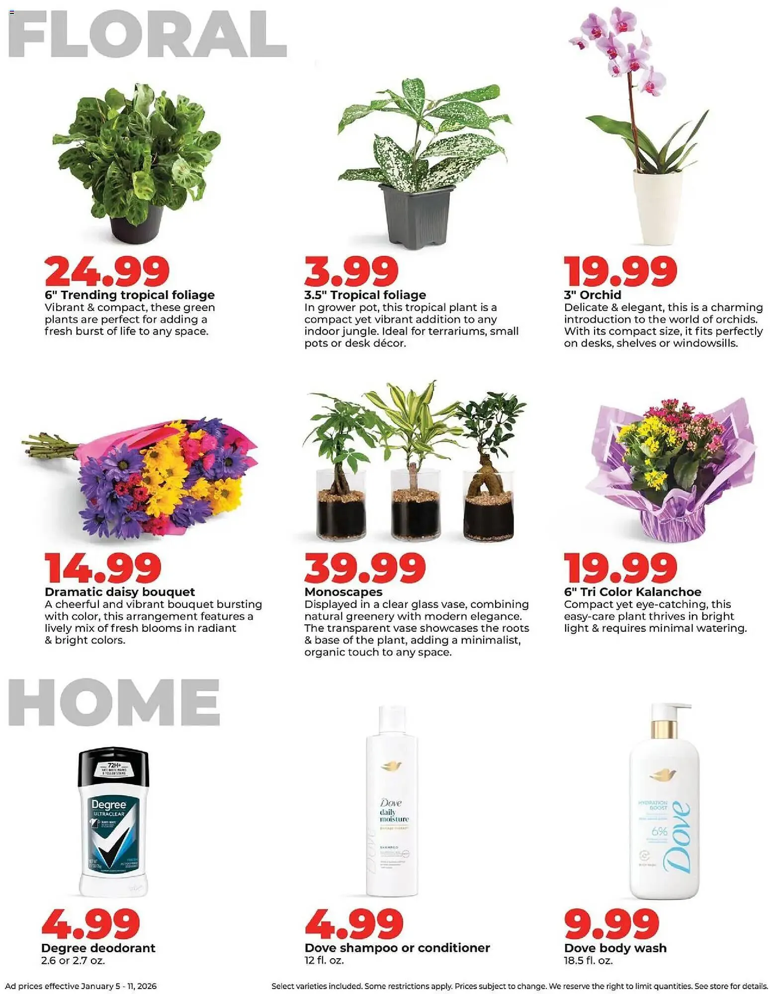 Weekly ad Hy-Vee weekly ad from January 5 to January 11 2026 - Page 37