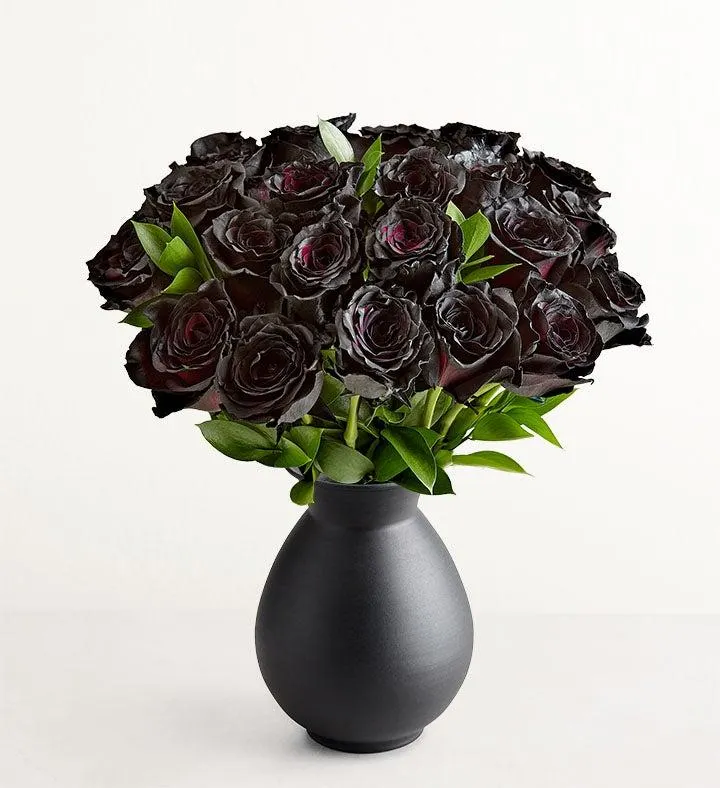 Midnight Black Roses