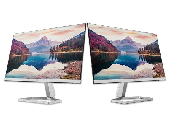 Dual HP M22f 22" Monitor Bundle