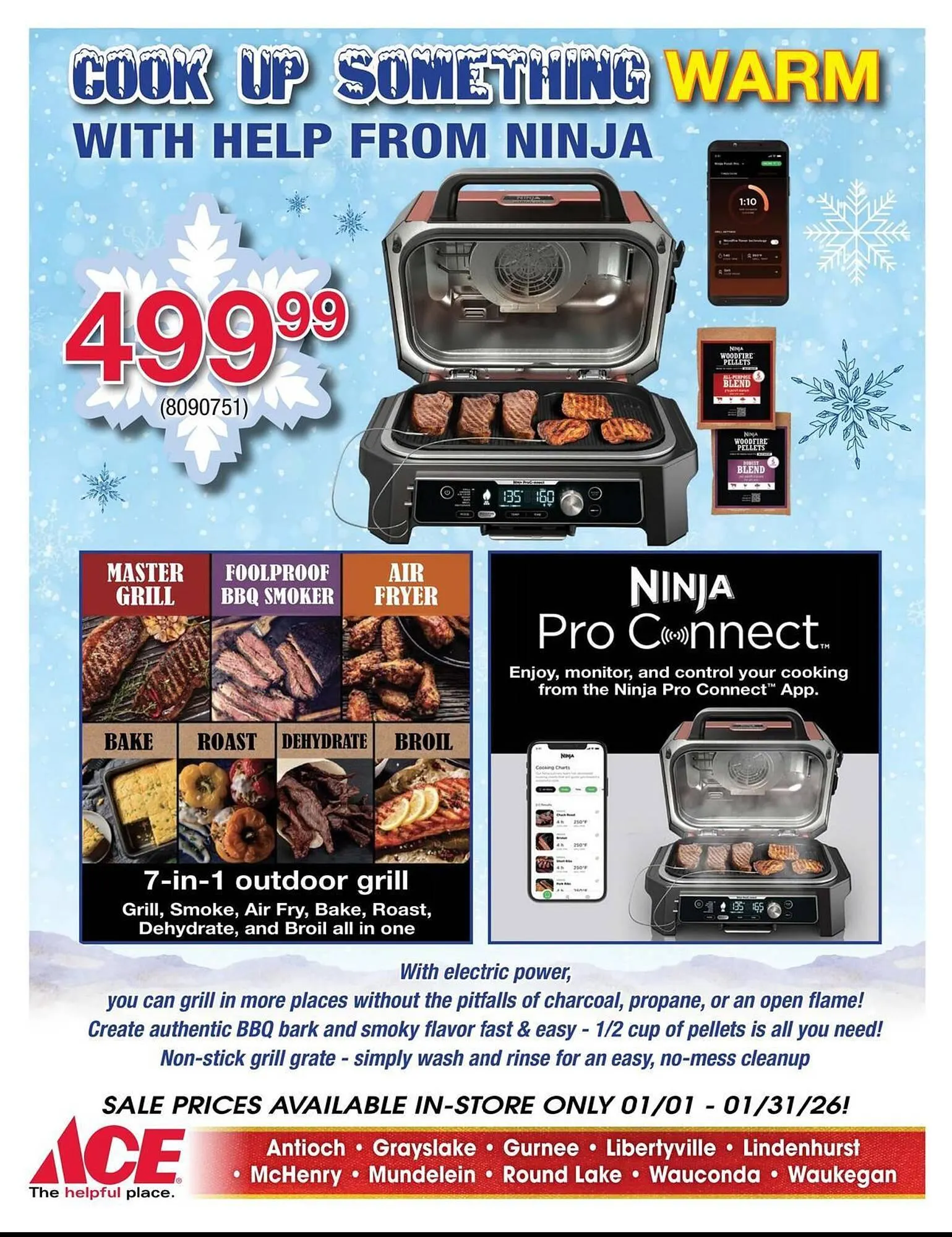 Weekly ad Ace Hardware flyer from January 1 to January 31 2026 - Page 8