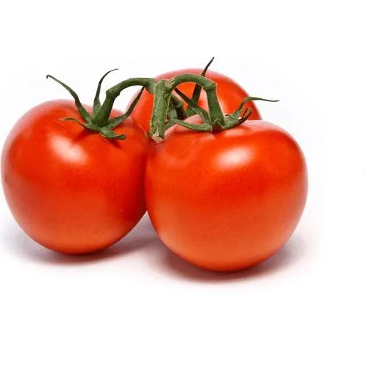 Tomatoes on the Vine