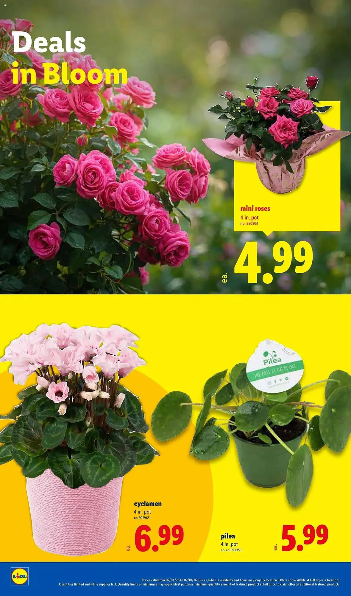 Weekly ad Lidl weekly ad from February 4 to February 10 2026 - Page 28