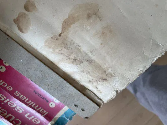 Human Body Circulatory System Poster, 1964