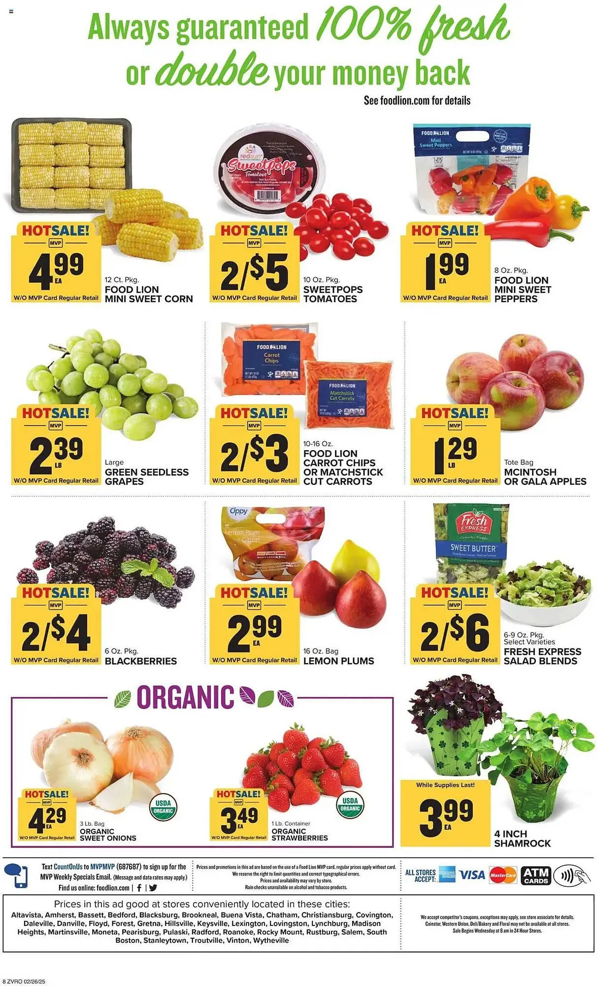 Weekly ad Food Lion Weekly Ad from February 26 to March 4 2025 - Page 13