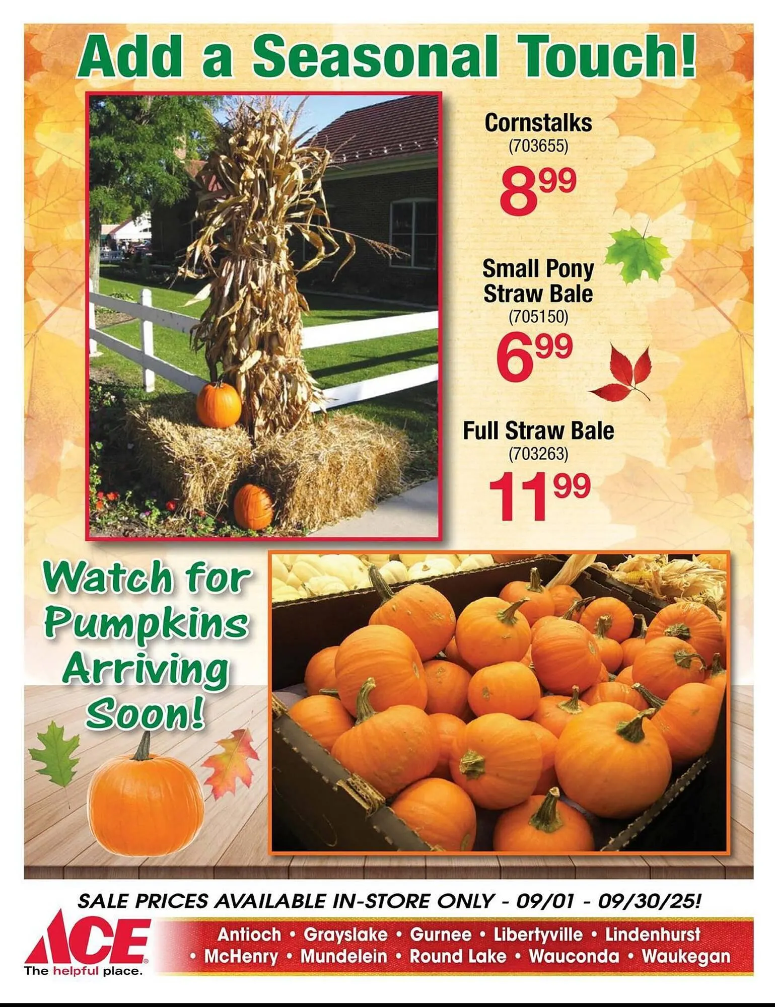 Weekly ad Ace Hardware flyer from September 1 to September 30 2025 - Page 11