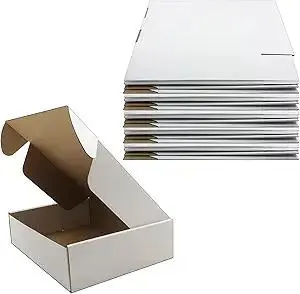 12x9x3 inch Shipping Boxes, White Corrugated Cardboard Box Literature Mailing Shipping Packaging Recyclable Storage Boxes and Craft Gifts Giving Products Business White Box Set of 20 (12''x9''x3'')