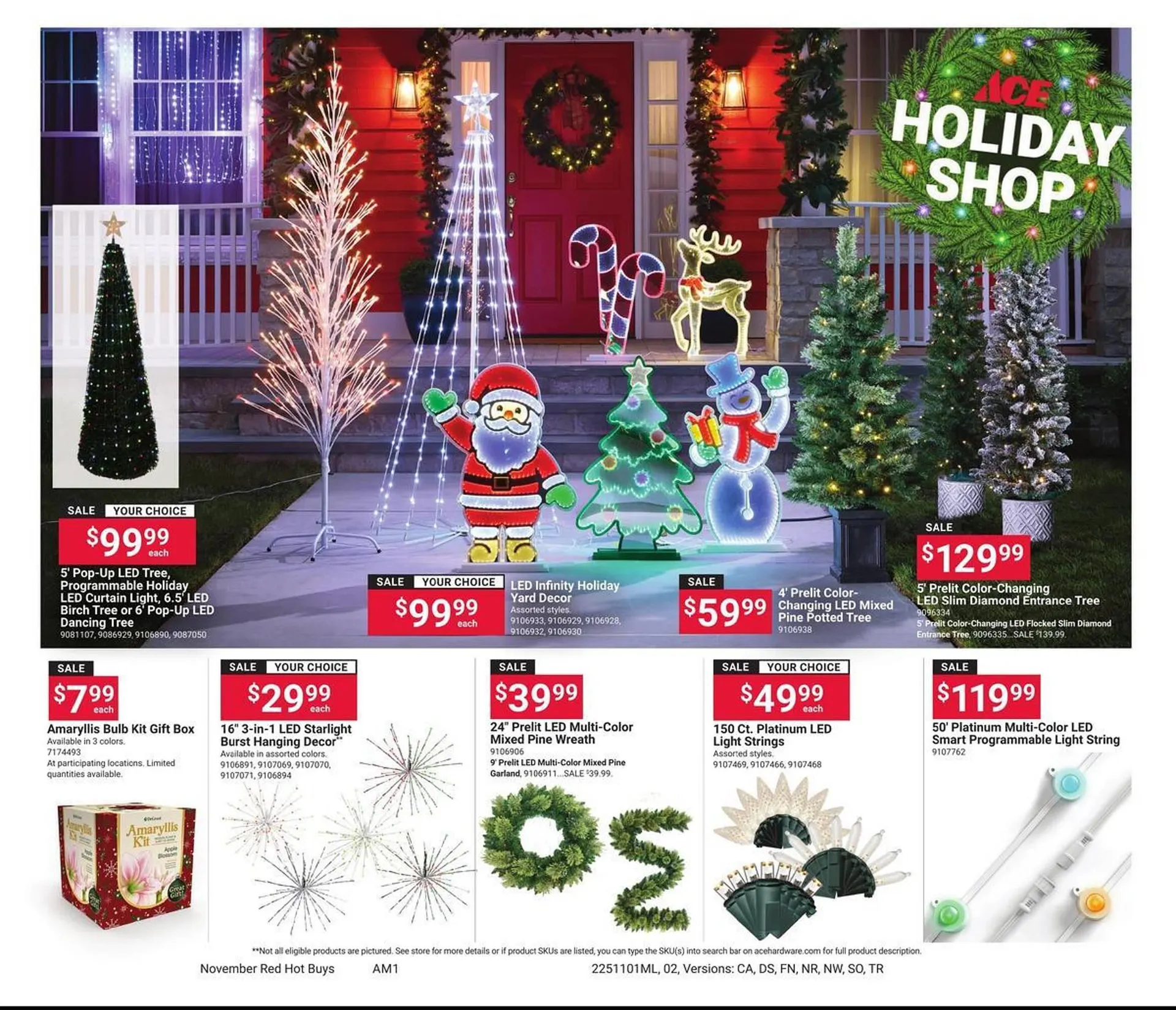Weekly ad Ace Hardware flyer from November 1 to December 1 2025 - Page 2