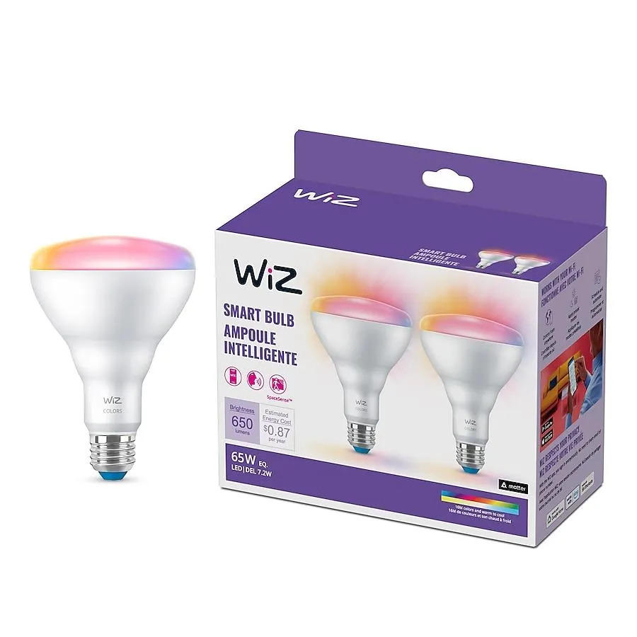 WiZ Smart Recessed Lighting 650-Lumen 7.2-Watt White Line Voltage Color Changing Plug-in Smart LED Flood Light