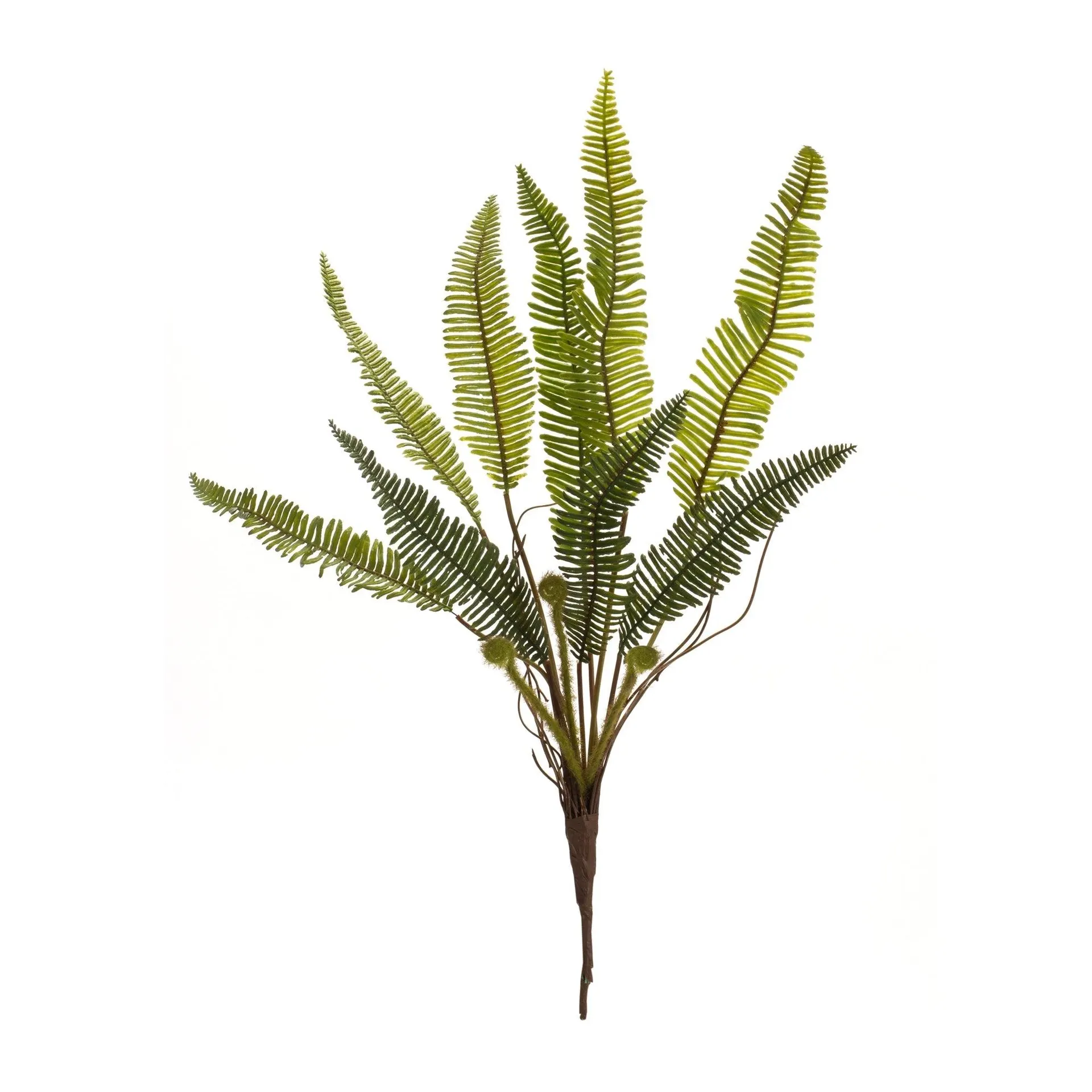 Variegated Fern Foliage Bush, Set of 6