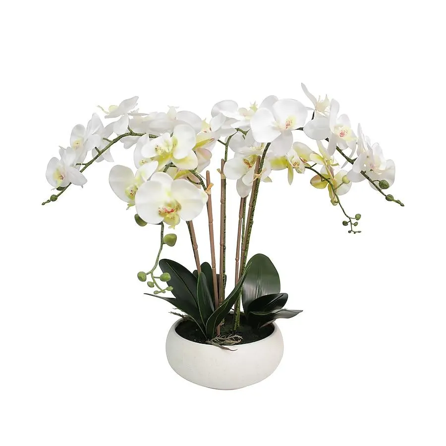 allen + roth 23-Inches Green, white Indoor Desktop Orchid Artificial flower
