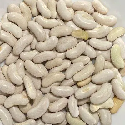 White Kidney Beans