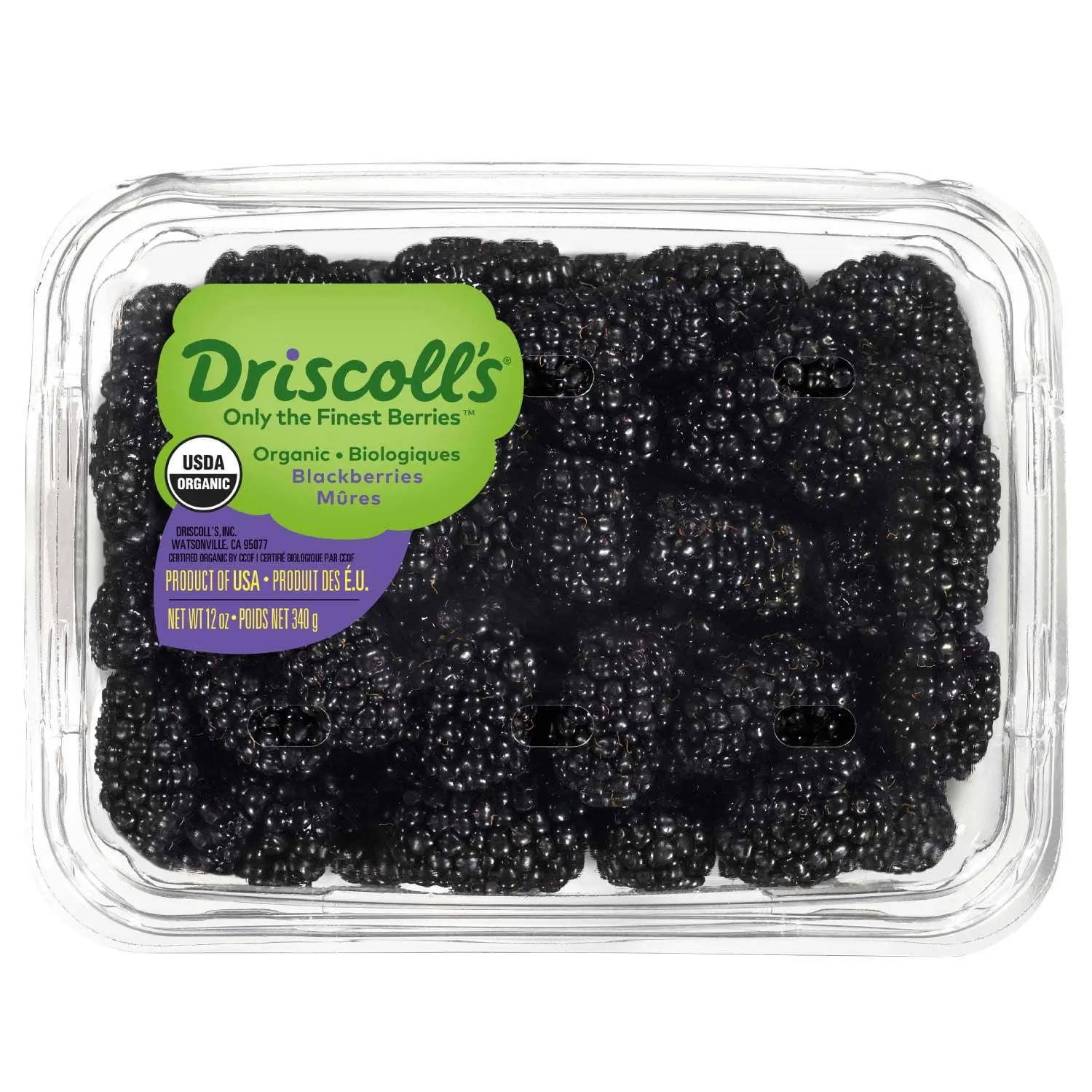 Organic Blackberries, 12 oz.