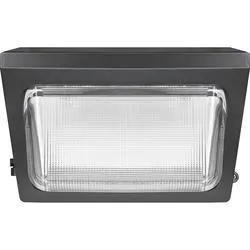 Patriot Lighting® Bronze LED Dusk-to-Dawn Outdoor Security Wall Pack Light