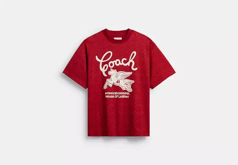 Relaxed Signature Pegasus T Shirt In Organic Cotton