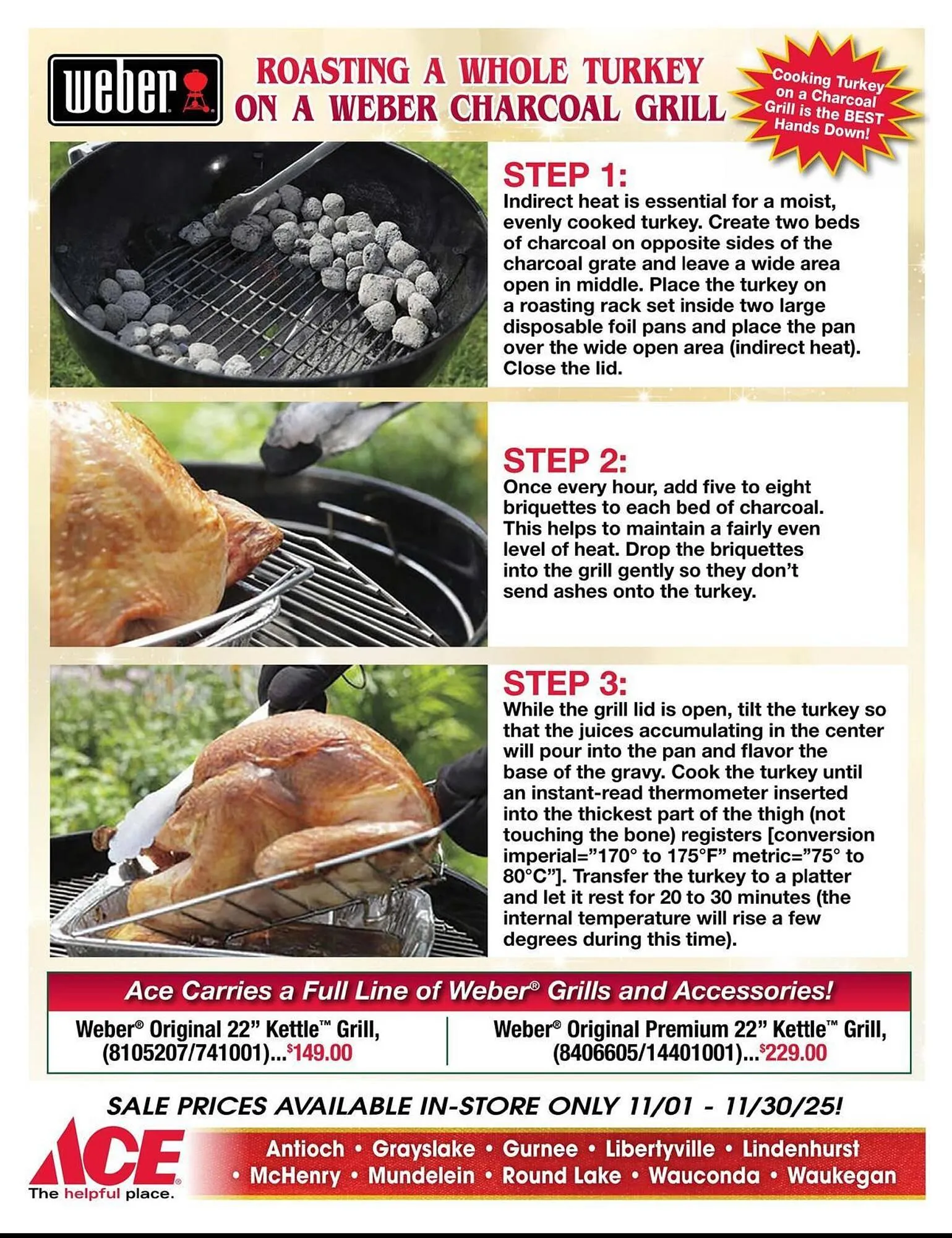 Weekly ad Ace Hardware flyer from November 1 to November 30 2025 - Page 3