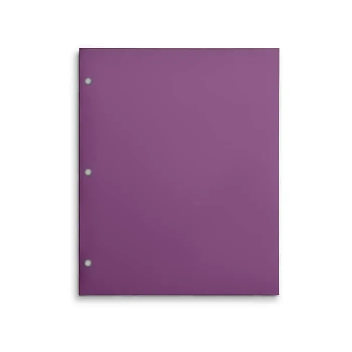 Staples 3-Hole Punched 4-Pocket Paper Presentation Folder,