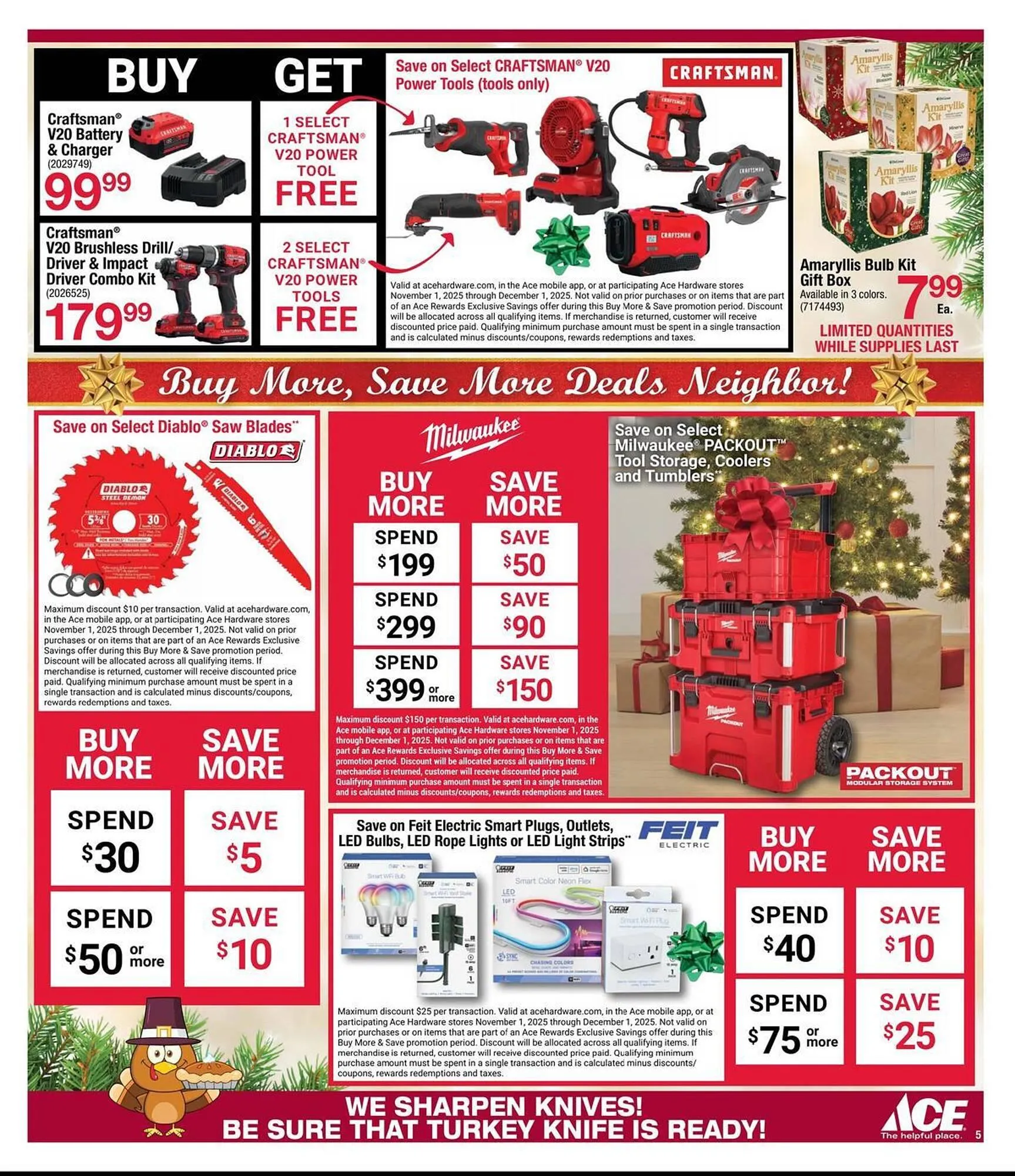 Weekly ad Ace Hardware flyer from November 4 to November 17 2025 - Page 5
